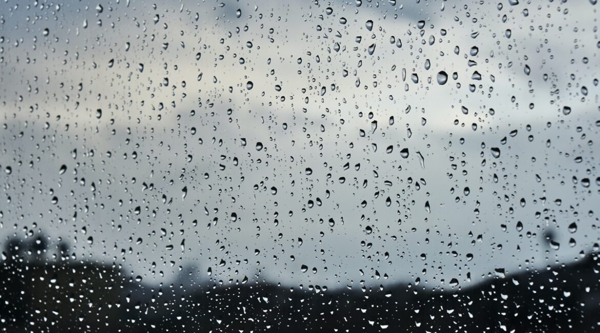 f3fd7a55-234f-4f4b-be50-a20deb04583e