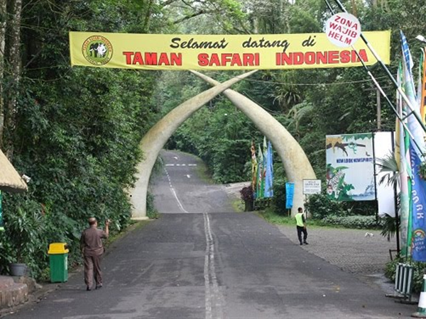 Benteng Terakhir Satwa Nusantara! Ini Strategi Jitu Taman Safari Indonesia Selamatkan Spesies Endemik dari Kepunahan