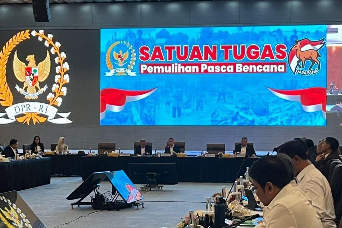 DPR RI Turun Tangan! Dasco Panggil Pemerintah Tagih Progres Pemulihan Aceh Pasca-Banjir
