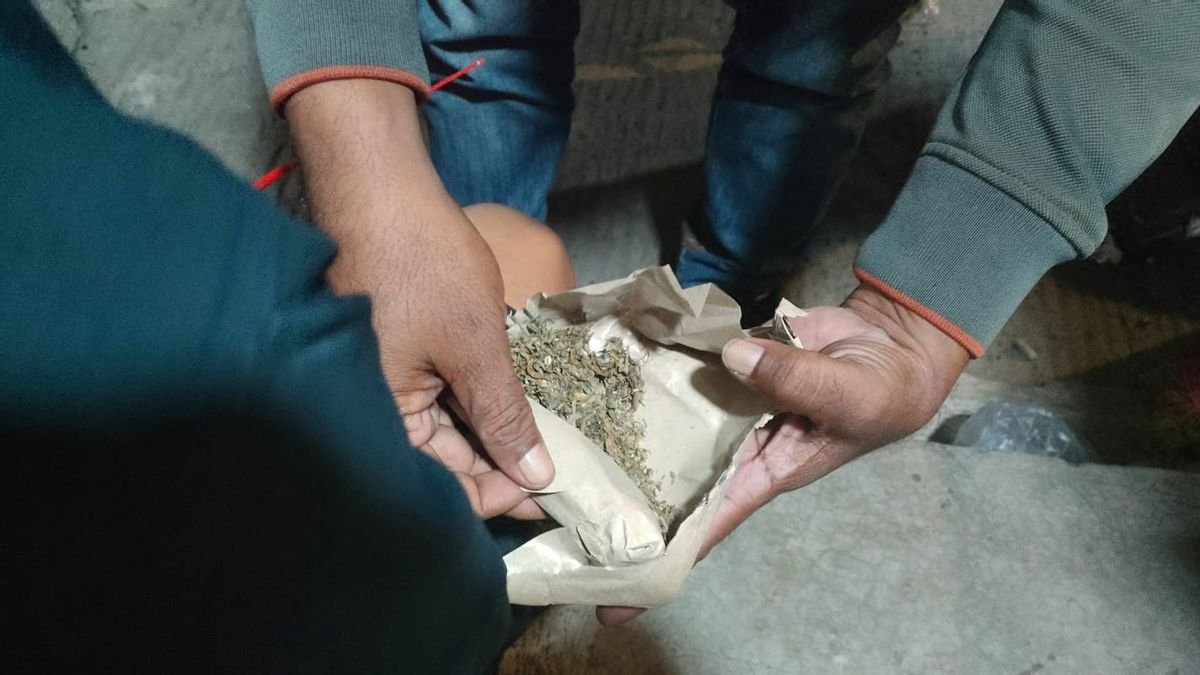 Risiko Bui Demi Rp50 Ribu: Kurir Ganja via Instagram di Jakut Diciduk Polisi!