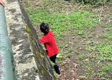 Evaluasi Keselamatan Darurat! Ragunan Diminta Tambah Petugas Pengawas Buntut Bocah Jatuh di Kandang