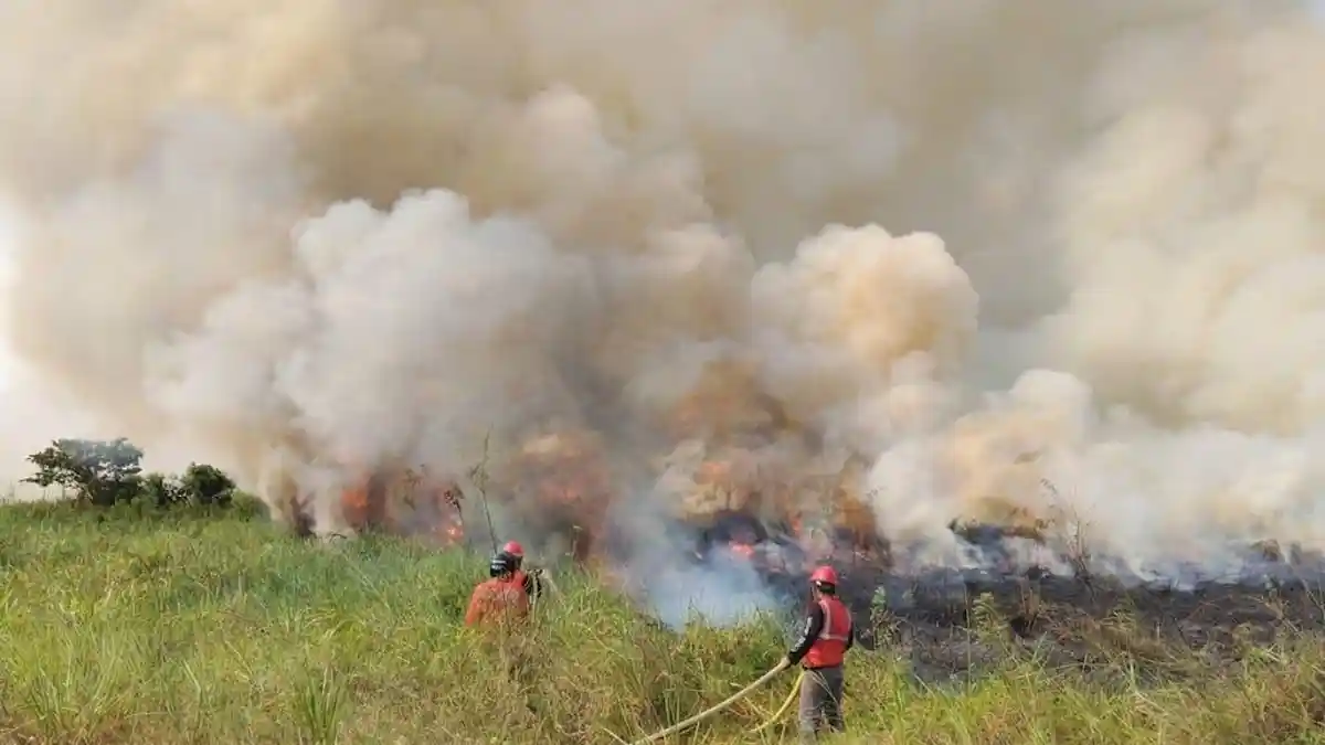 10 Orang Jadi Tersangka Karhutla di Jambi, Lahan Terbakar Capai 17,25 Hektare