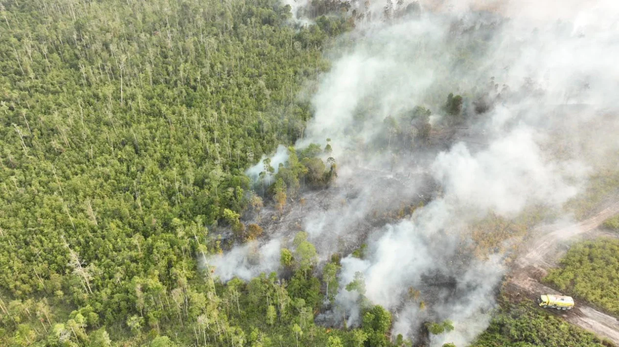 64 Pesawat dan 54.394 Personel Dikerahkan Tangani Karhutla di Indonesia