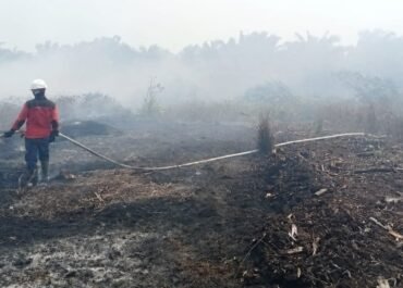 Pemerintah Izinkan 35 Pesawat Asing Bantu Padamkan Karhutla di Kalimantan