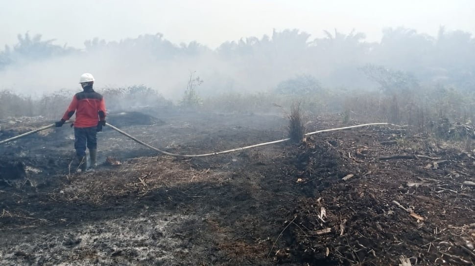 Pemerintah Izinkan 35 Pesawat Asing Bantu Padamkan Karhutla di Kalimantan