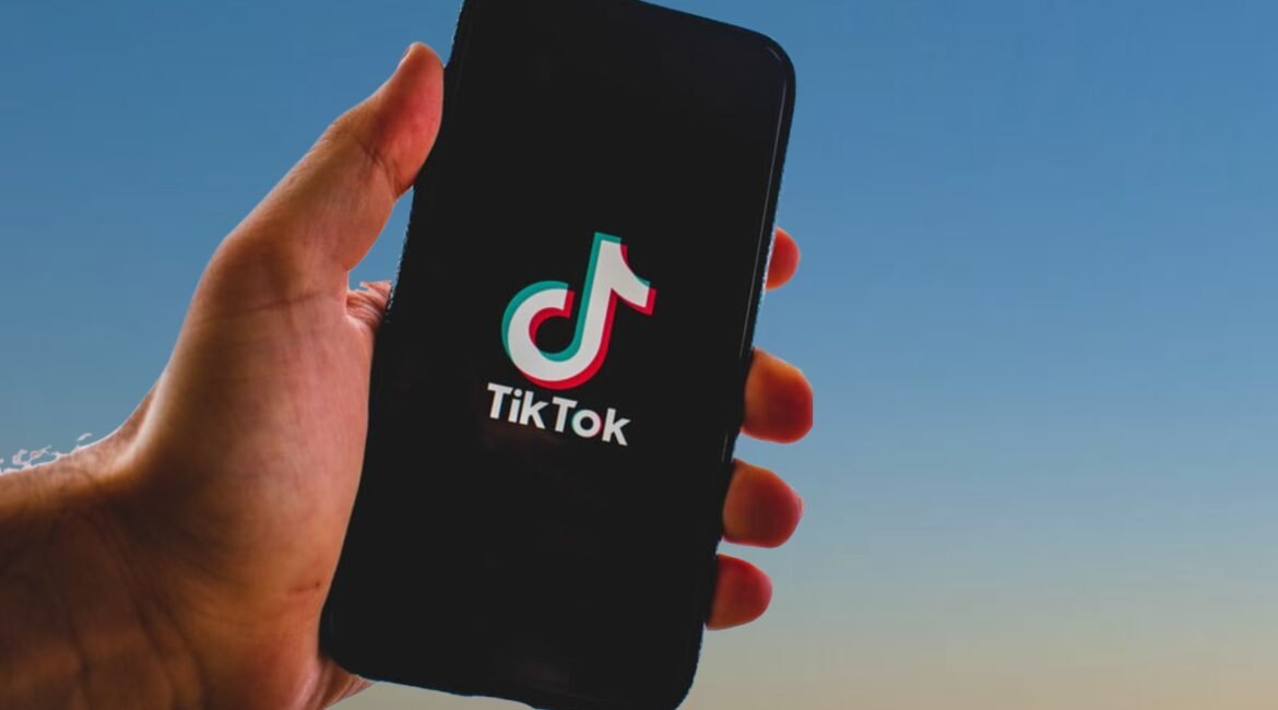 nikuga-tiktok-5390055