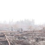 Korban Tewas Karhutla Bromo Bertambah Jadi 6 Orang