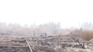 Korban Tewas Karhutla Bromo Bertambah Jadi 6 Orang