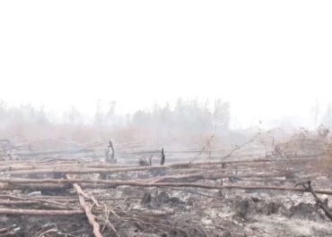Korban Tewas Karhutla Bromo Bertambah Jadi 6 Orang