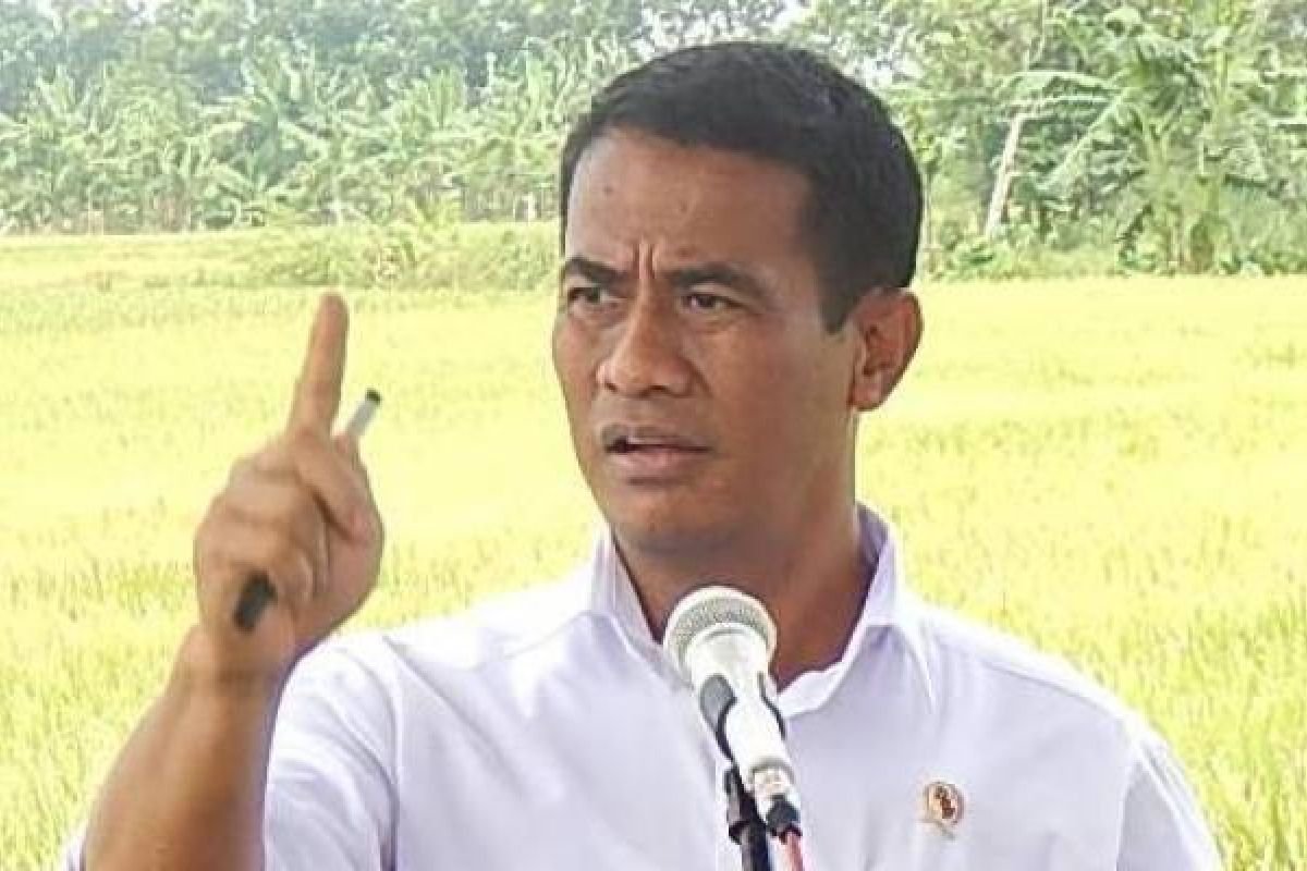 8.000 Kopdes Mulai Beroperasi, Amran Minta Pupuk Subsidi Tersedia Sejak Awal