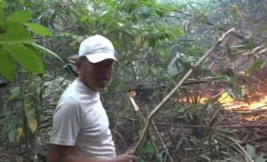 Dicari Prabowo, Dedi Mulyadi Absen di Rakornas karena Padamkan Karhutla Ciremai