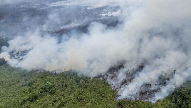 Seluruh Sumut Diselimuti Asap Karhutla, Jarak Pandang Turun hingga 1 Km
