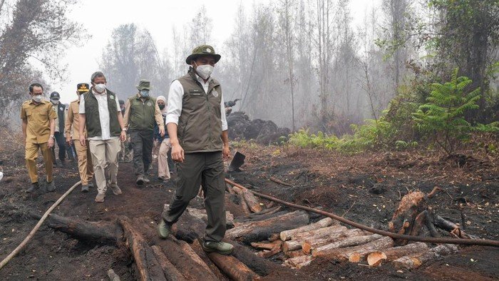 DPR Soroti Penanganan Karhutla oleh Raja Juli, Kebakaran Berlangsung Tiga Bulan